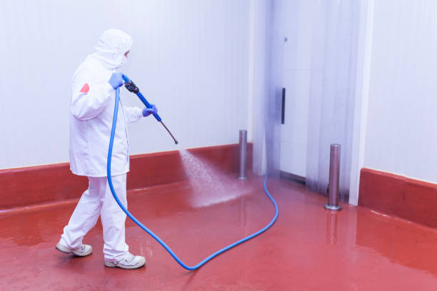 Best Concrete Surface Cleaning in Washburn, WI